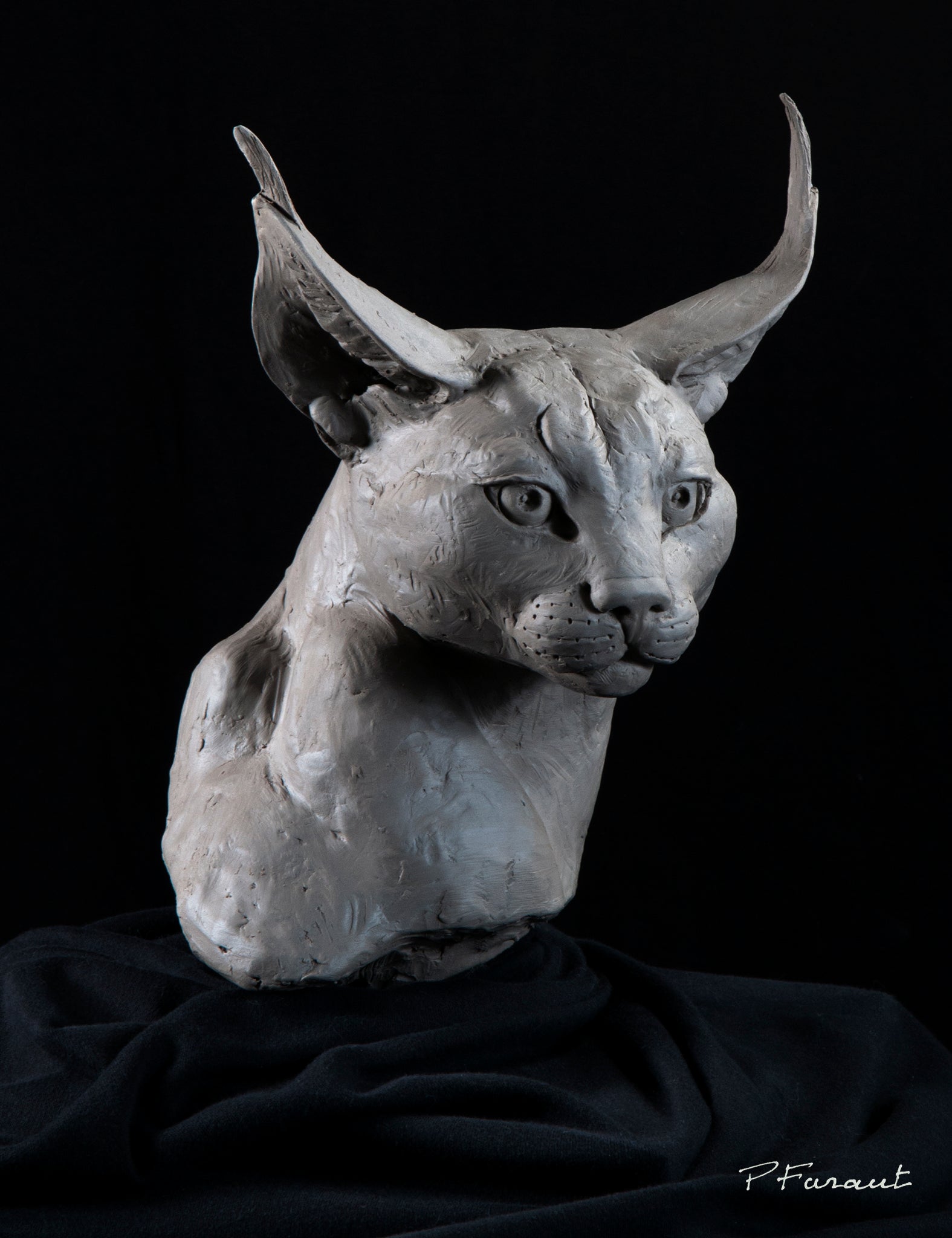 Caracla cat sculpture in clay by philippe faraut, animal sculptures