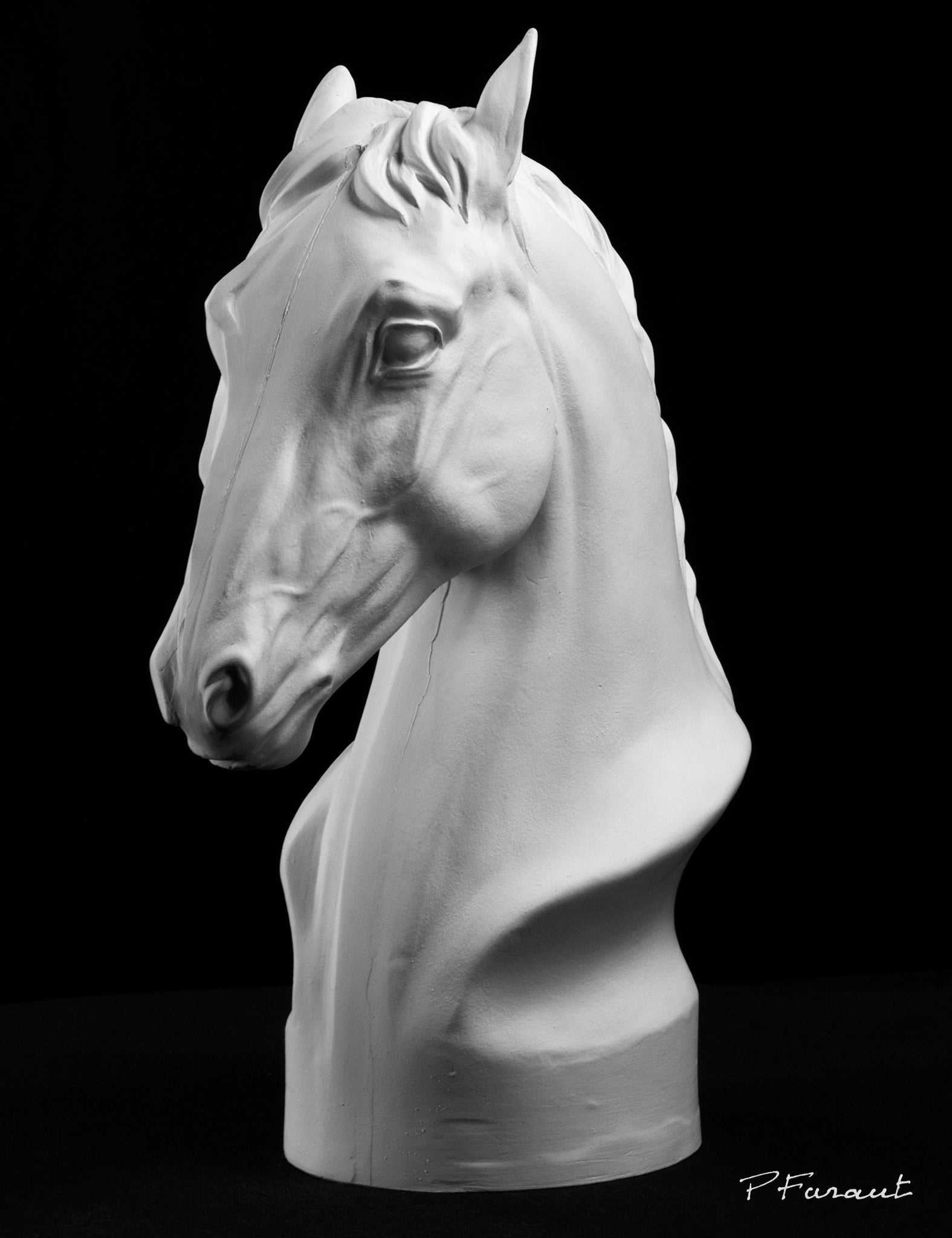 horse drawing cast, horse sculpture cast, art reference cast, horse anatomy, 3d animal reference