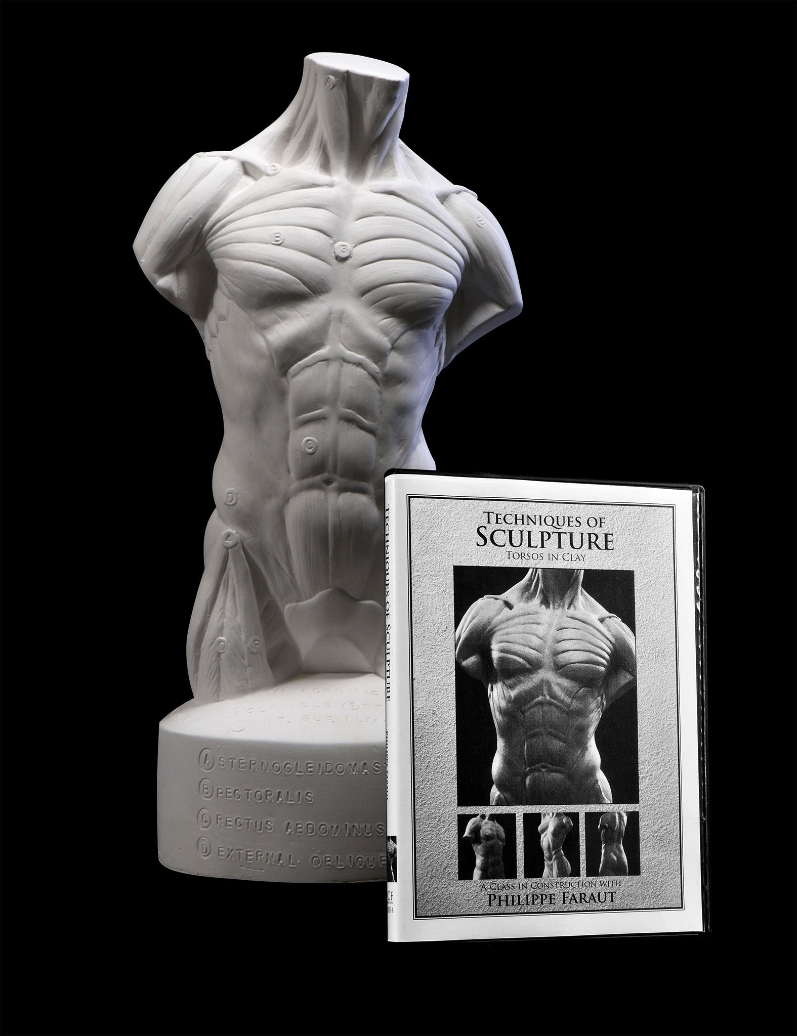 Plaster écorché torso with instructional sculpting dvd by Faraut