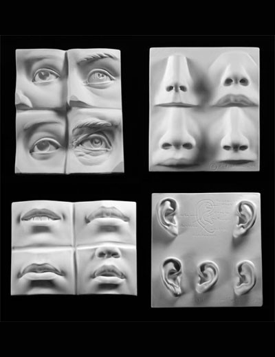 plaster casts for artists, anatomical casts for artists, plaster cast models, art reference casts, eye cast, nose cast, ear cast, mouth cast