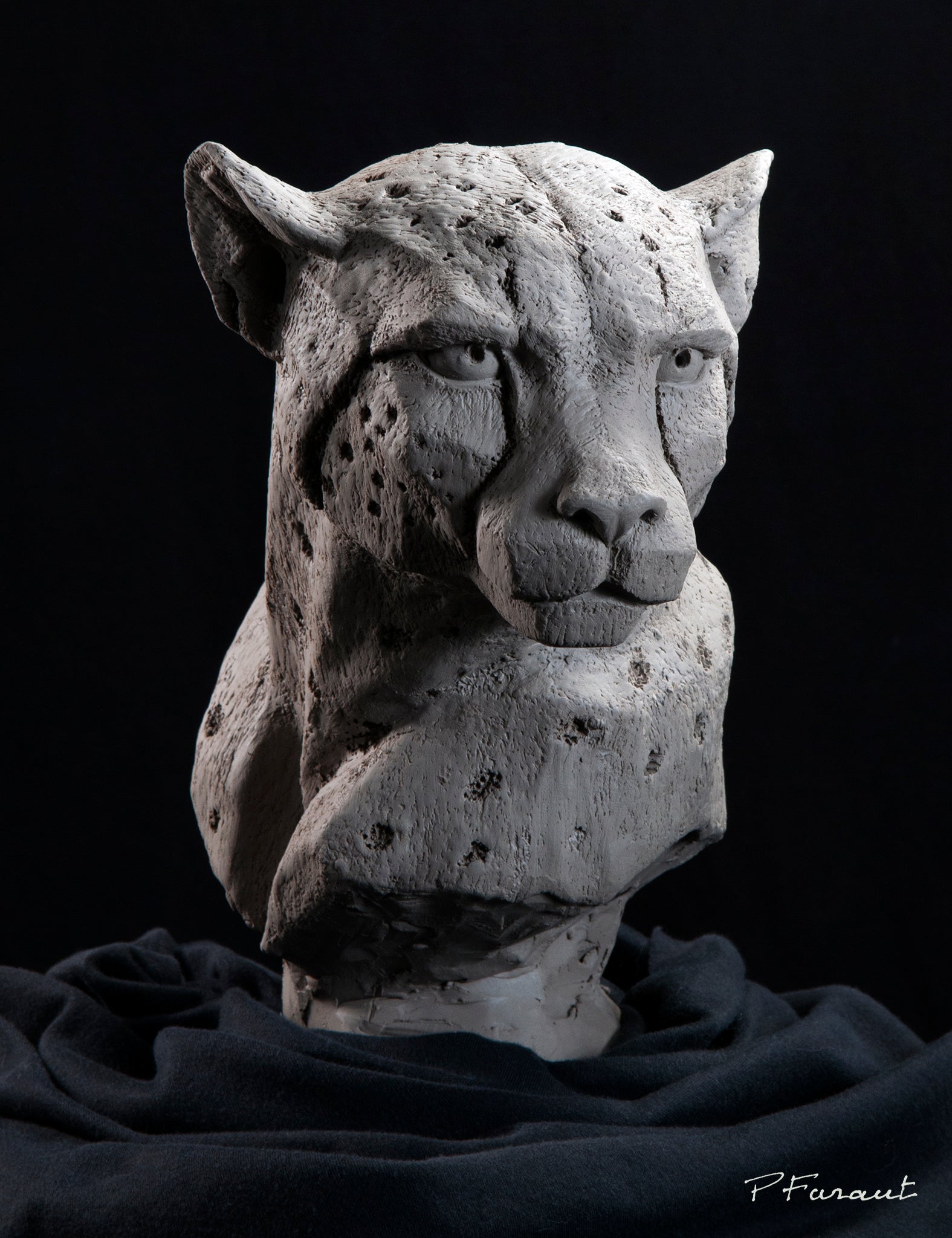 Sculpted Cheetah bust by Philippe Faraut in earthenware clay, cat sculptures