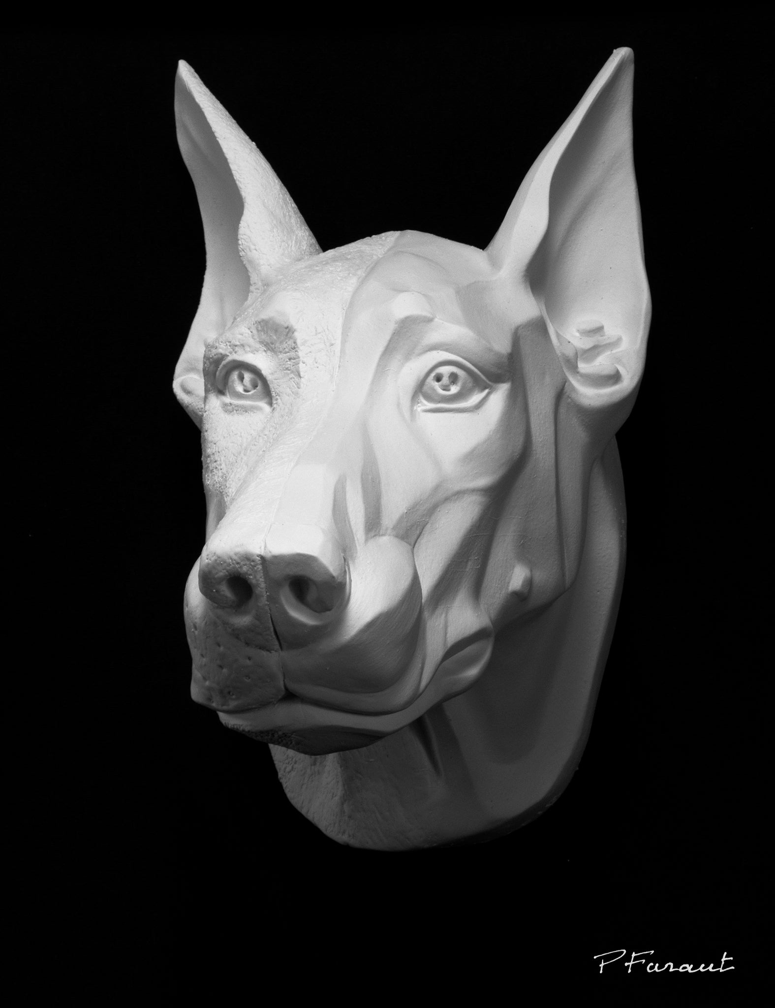 doberman sculpture, dog drawing cast, dog sculpture cast, doberman mask, art reference cast, doberman dog plaster cast for artist, dog anatomy, 3d animal reference