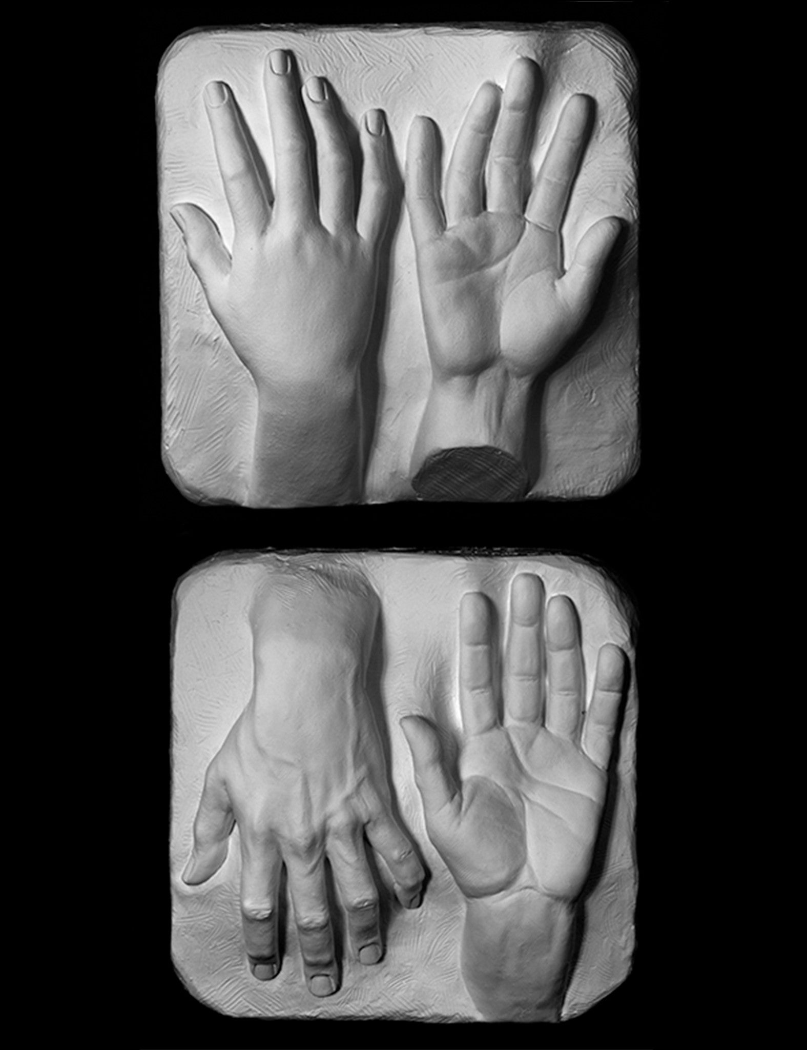 plaster casts for artists, anatomical casts for artists, plaster cast models, art reference casts, artist hand cast reference, drawing cast reference, cast drawing reference