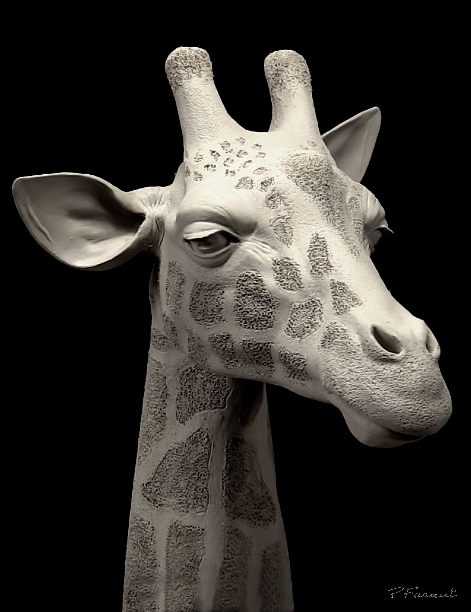 Giraffe head sculpture by Philippe Faraut