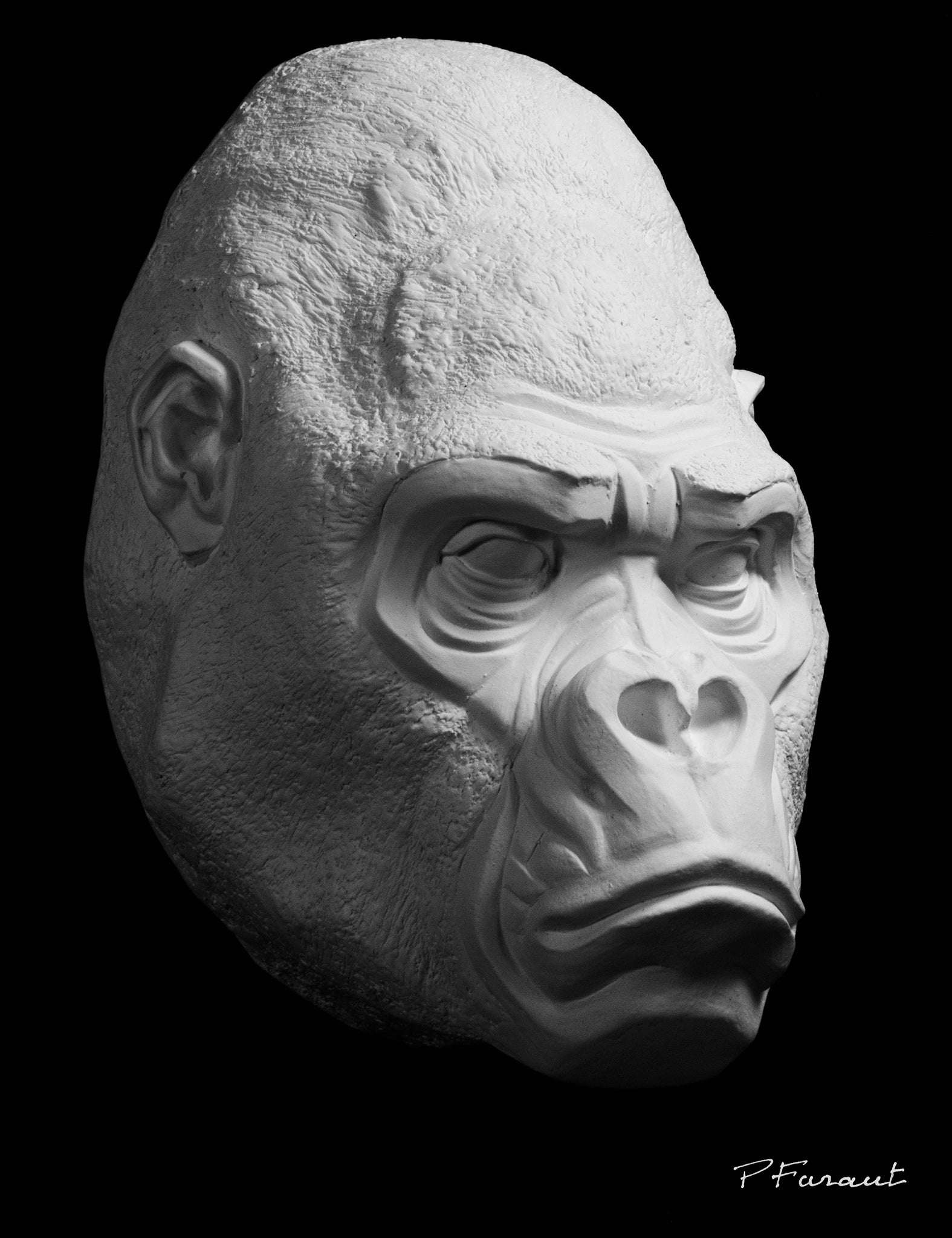 gorilla drawing cast, gorilla sculpture cast, gorilla mask, art reference cast, gorilla plaster cast for artist, gorilla anatomy, ape sculpture, ape mask, 3d animal reference