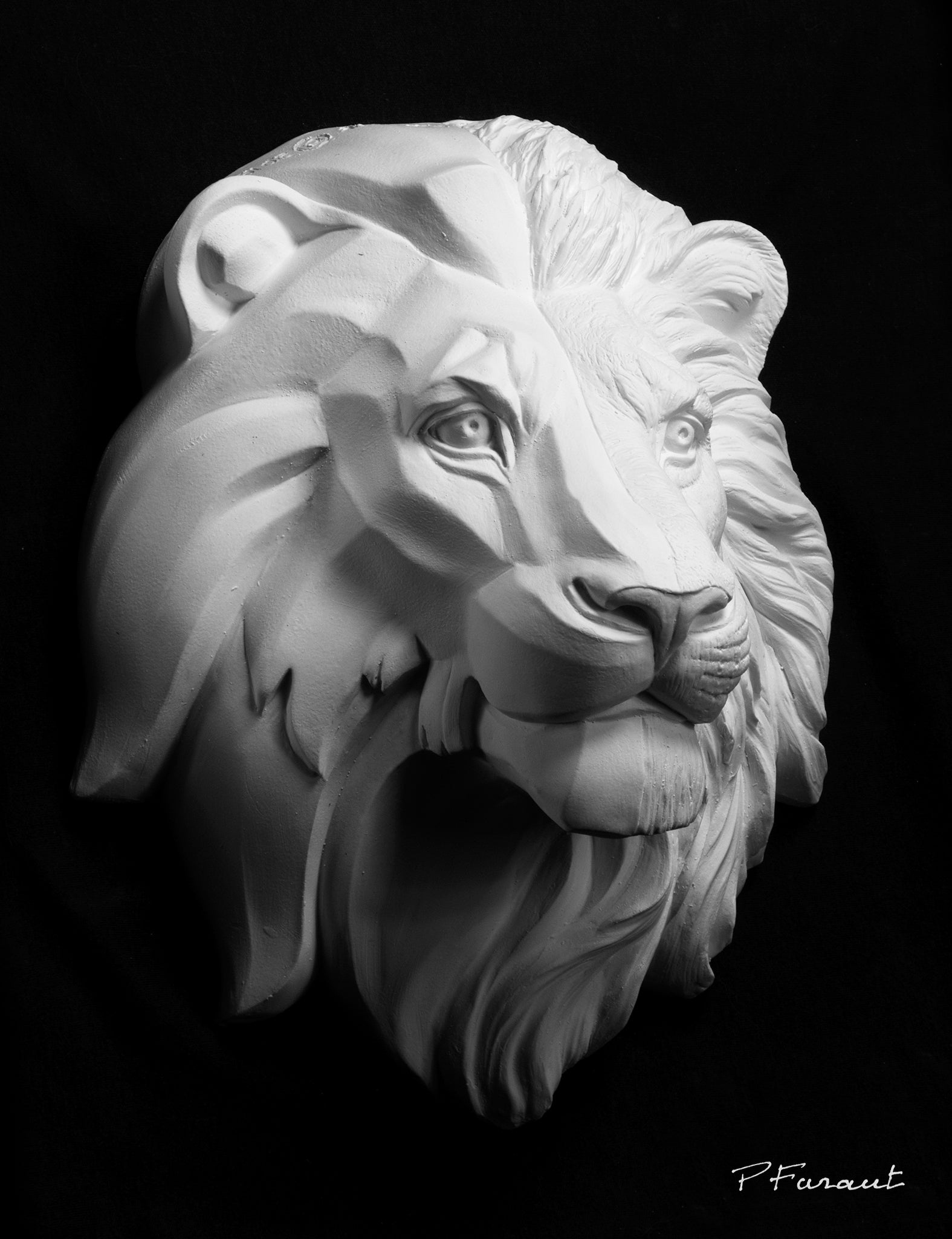 lion drawing cast, lion sculpture cast, lion mask, art reference cast, lion plaster cast for artist, lion anatomy, 3d animal reference, art cast, animal model