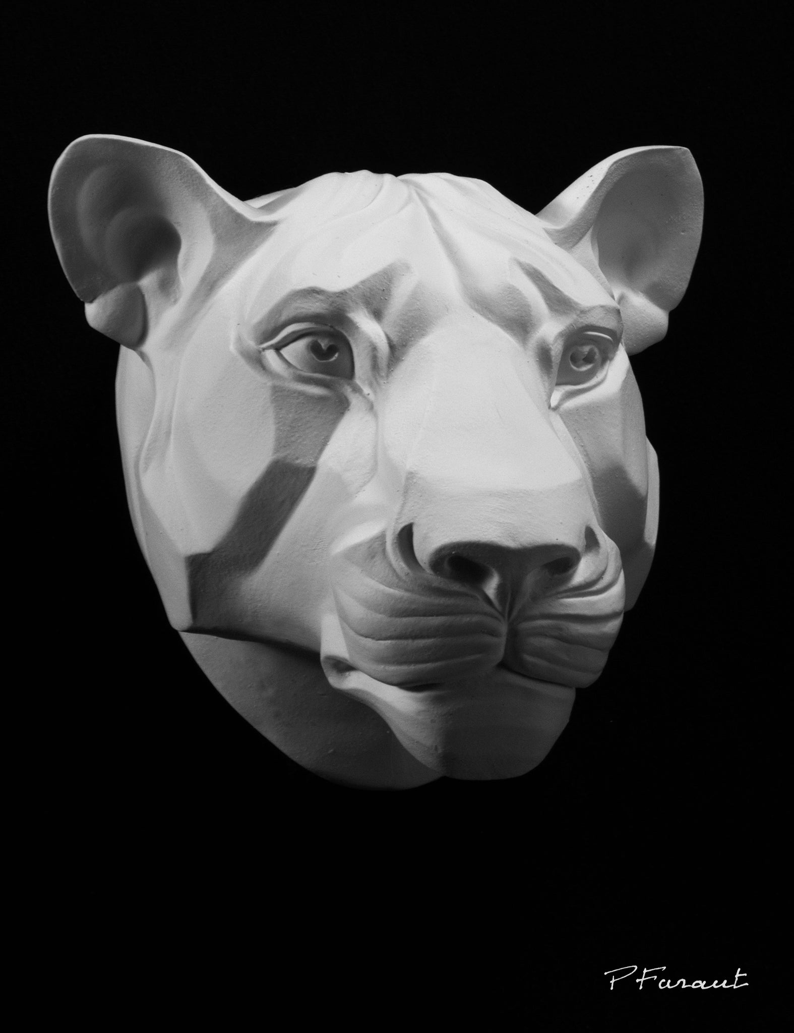 lioness drawing cast, lioness sculpture cast, lioness mask, art reference cast, lioness plaster cast for artist, lioness anatomy, 3d animal reference, cat mask, cat art reference, plaster cat mask
