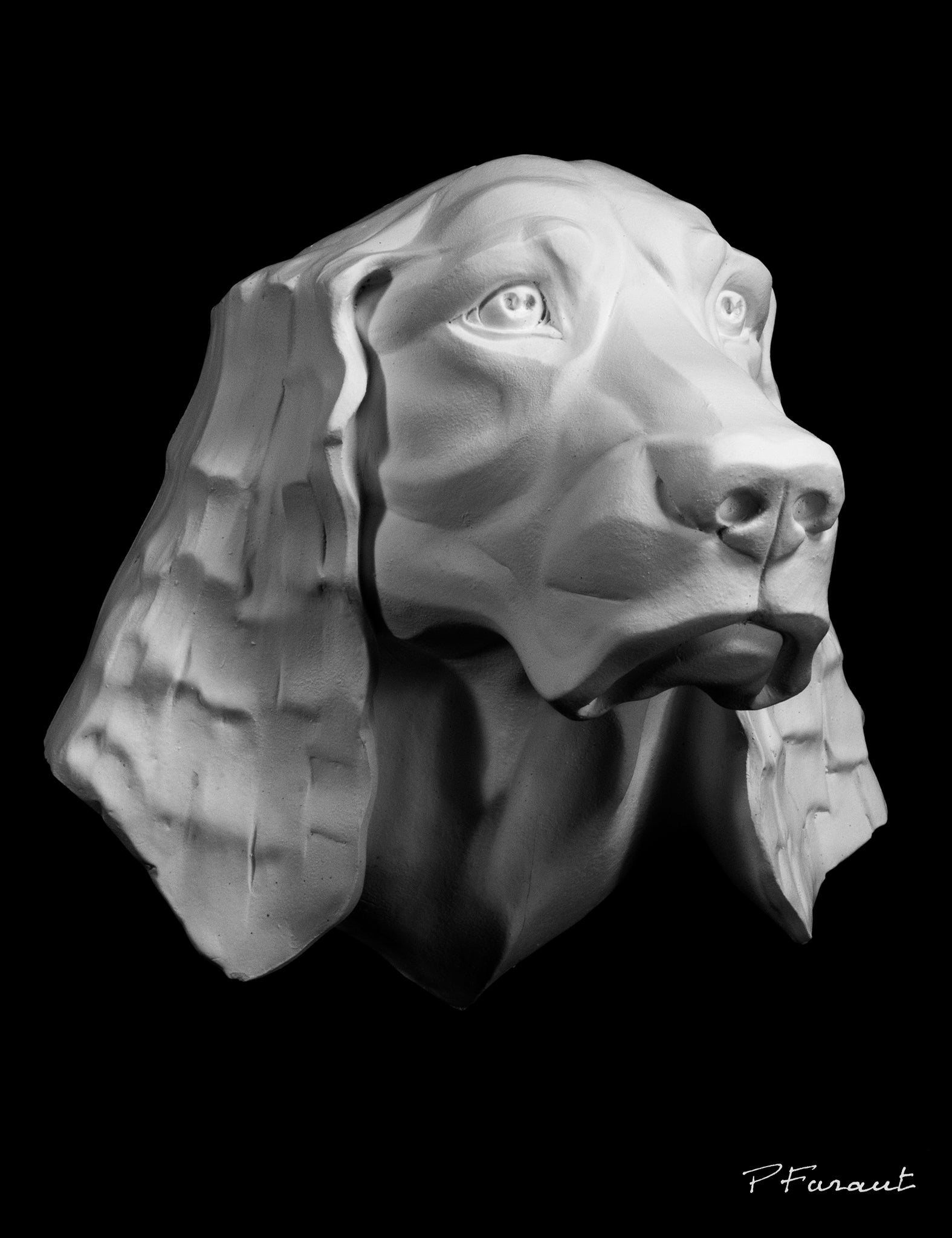 dog drawing cast, spaniel sculpture cast, spaniel mask, art reference cast, dog plaster cast for artist, dog anatomy, spaniel bust, spaniel sculpture, 3d animal reference
