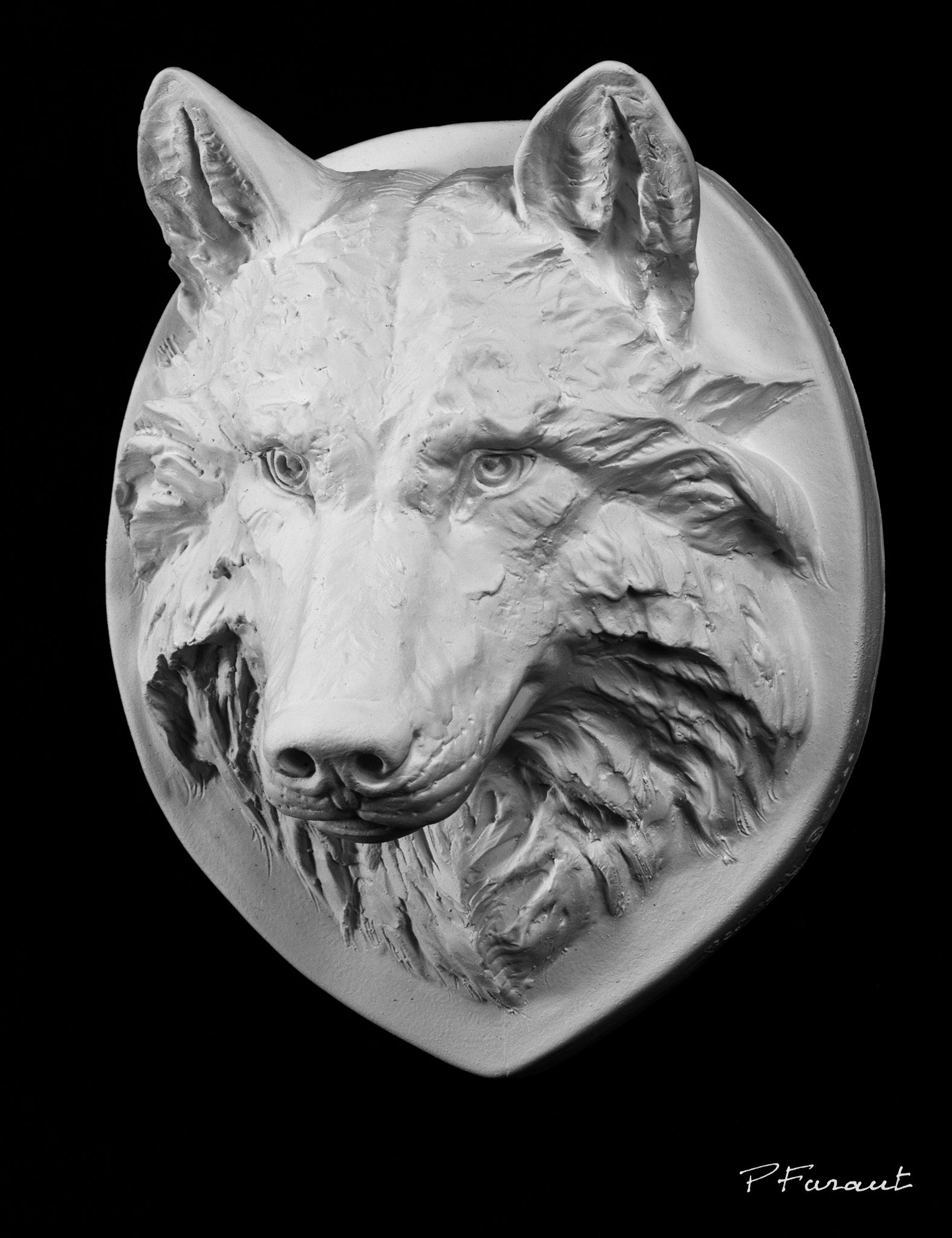 wolf drawing cast, wolf sculpture cast, wolf mask, art reference cast, wolf plaster cast for artists, wolf anatomy, wolf bust, 3d animal reference