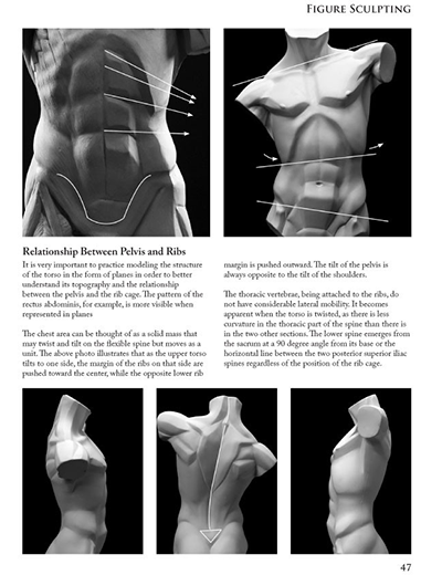 Figure Sculpting book by Philippe Faraut sample page: planes of the torso