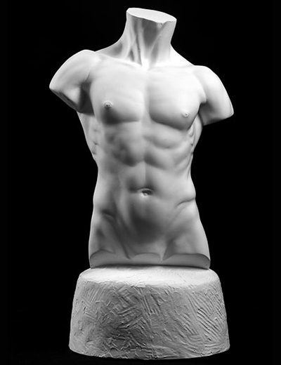 male torso art cast, male torso sculpture, plaster casts for artists, anatomical casts for artists, plaster cast models, torso art reference casts, torso drawing cast reference, torso cast drawing reference, male nude torso reference