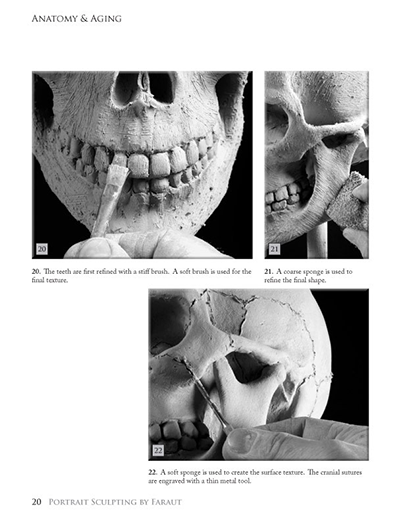 how to sculpt teeth from portrait sculpting book by Faraut