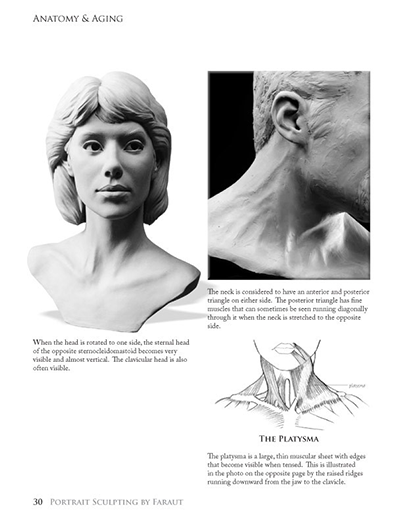 Sample page showing neck muscles from Portrait Sculpting book by Faraut